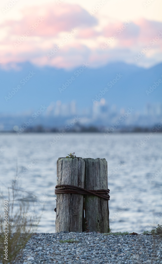 Two wooden logs stand tied together on the beach of the White Rock, BC. Selective focus, nobody, travel photo. Two wooden logs stand tied together on the beach of the White Rock, BC. Selective focus, nobody, travel photo.