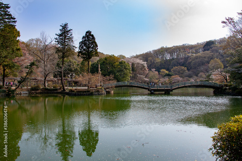 日本的な公園
