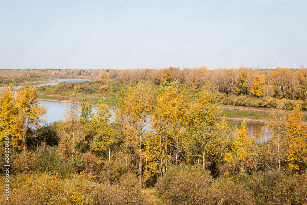 Fototapeta premium Scenery. Riverbed. The blue sky is reflected in the water. Autumn meadows and trees are yellow. sunny day.