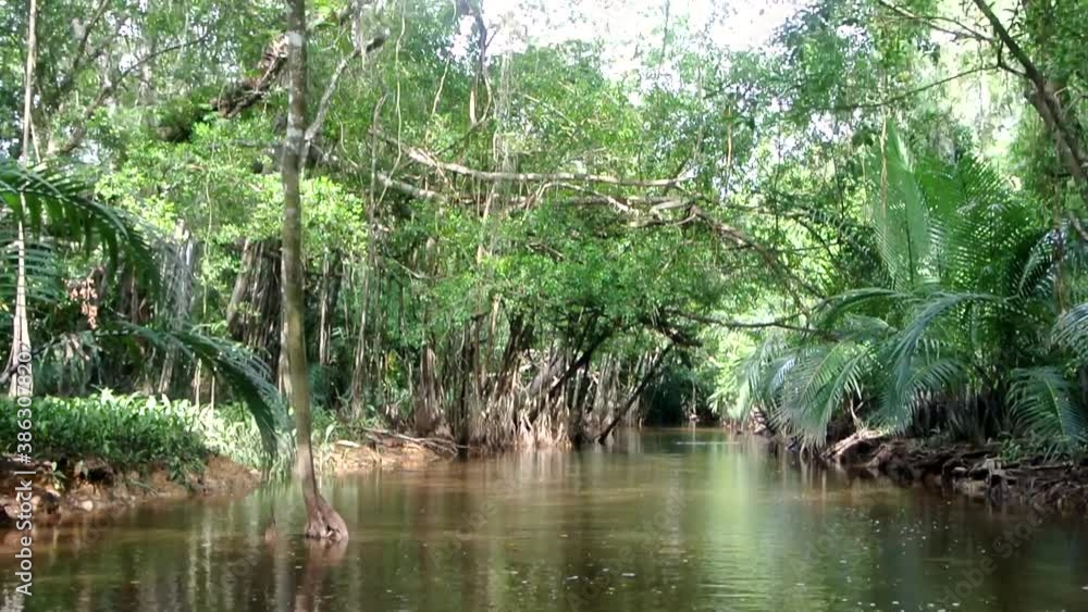 Slow cruising through the mysterious mangrove forests of Thailand