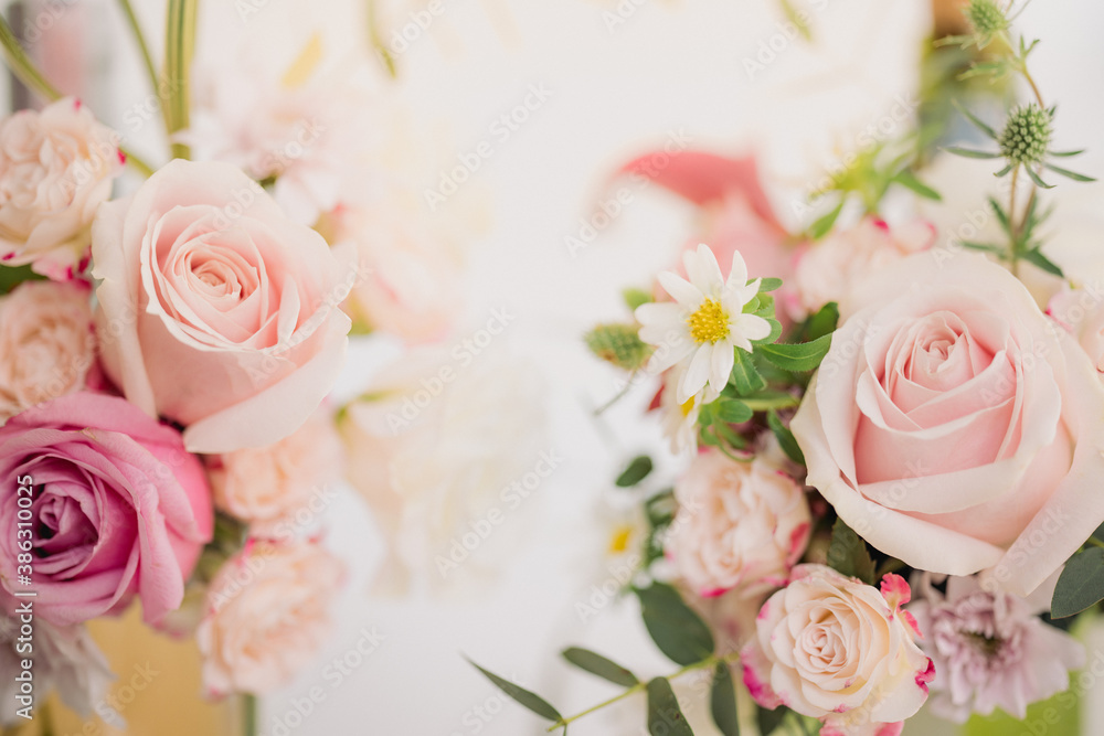 Nature of rose pink flower in garden using as background natural wallpaper Nature of rose pink flower in garden using as background natural wallpaper