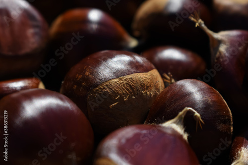 Primer plano de la primera recolección de castañas en el mes de Octubre. Imagen macro de una castaña rodeada de otras castañas . Fondo de colores intensos con un alimento típico de otoño.