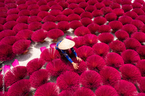 Vietnam incense sticks are drying under sunlight, with Vietnamese woman in connical hat working outdoor