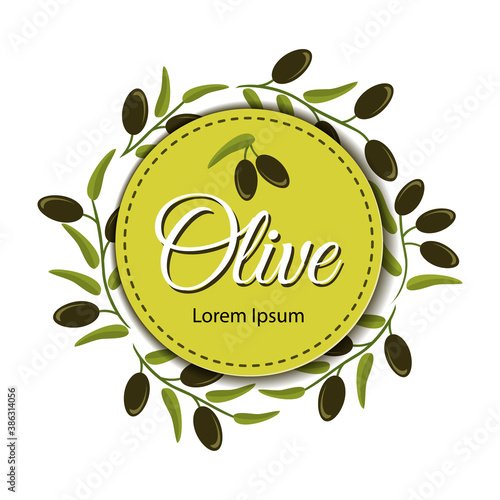 Frame with ripe olive branches on white background. Vector label for olive oil bottles.