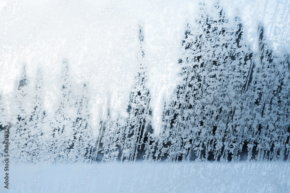 View of coniferous forest trees through a winter frozen window.