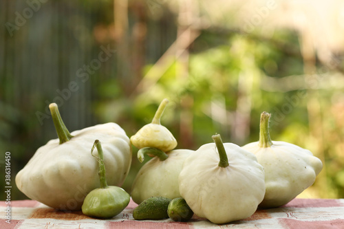 patisson bush pumpkin lay on table outdoor still life photo