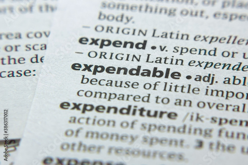 Word or phrase Expendable in a dictionary.