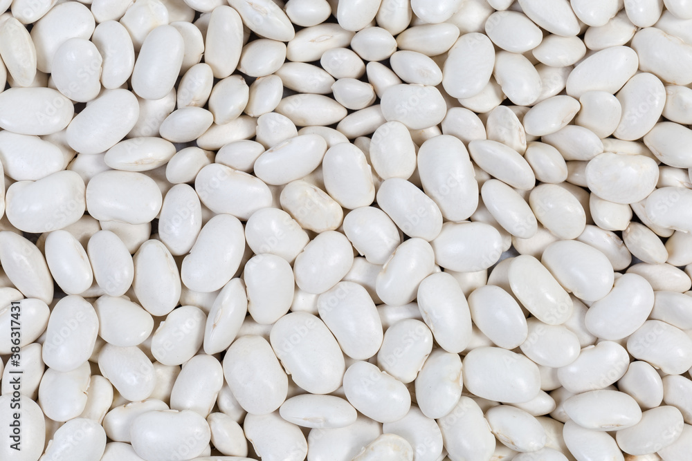 Large white kidney beans scattered evenly close-up, background Large white kidney beans scattered evenly close-up, background