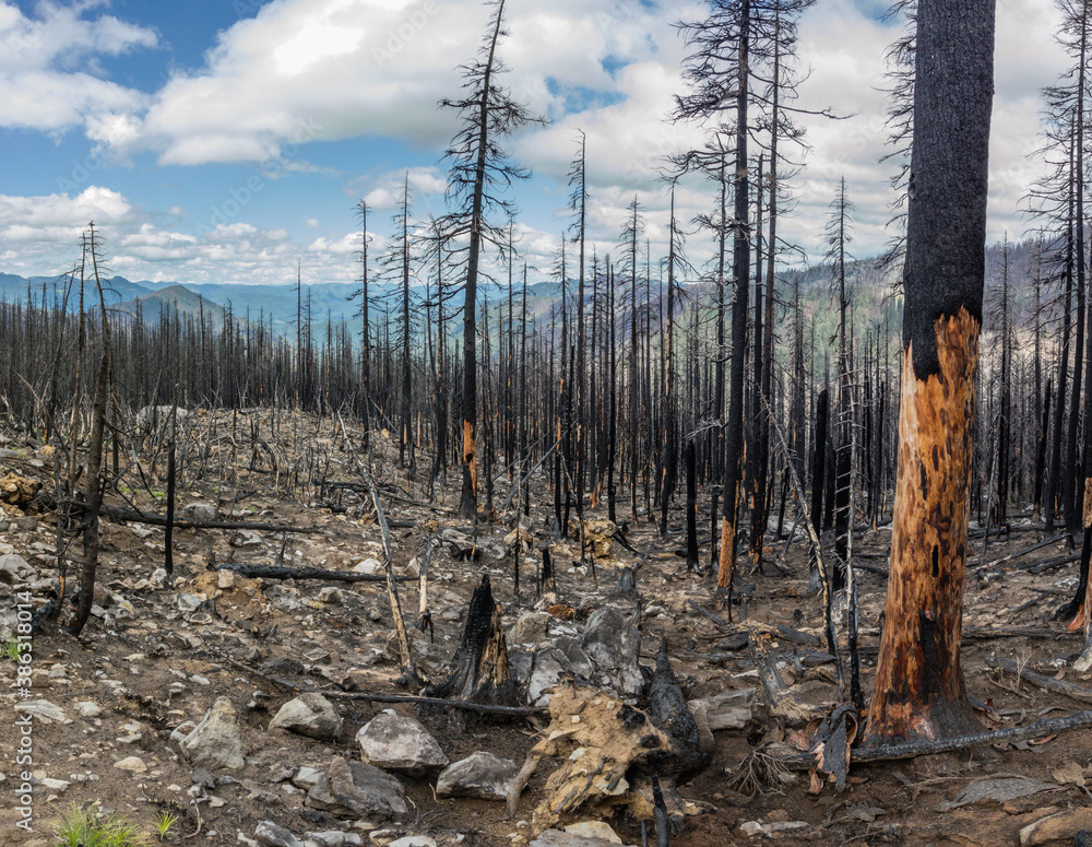 Whitewater Fire - View from the Pacific Crest Trail near Mt Jefferson in Oregon where the Whitewater Fire of 2017 burned over 14,000 acres of forest. Whitewater Fire - View from the Pacific Crest Trail near Mt Jefferson in Oregon where the Whitewater Fire of 2017 burned over 14,000 acres of forest.