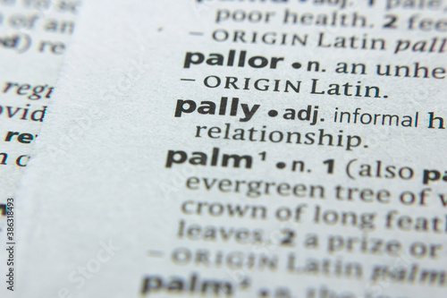 Word or phrase Pally in a dictionary.