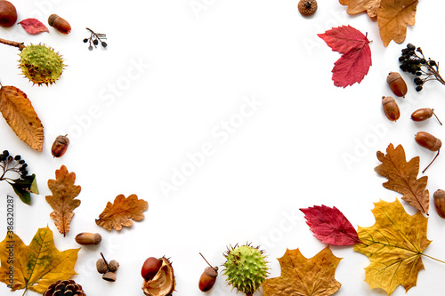 Autumn composition. Frame made of dried leaves, branches, pine cones, berries, chestnuts and acorns isolated on white background. Template mockup fall, halloween. Flat lay, copy space background