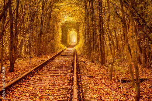 Fényképezés Autumn Railway Forest Tunnel