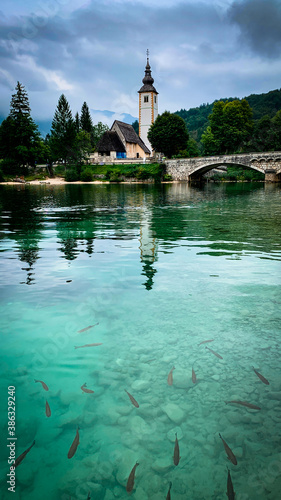 Bridge at the Bohinj lake