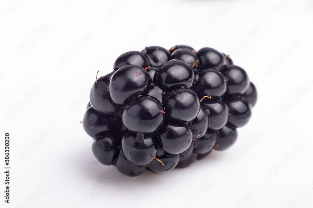 blackberry isolated on white background closeup blackberry isolated on white background closeup