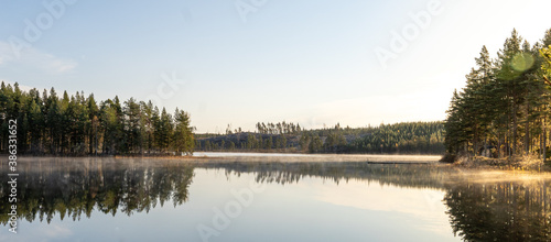 Bild auf Leinwand Wald Natur See in Schweden mit Spiegelung im Wasser