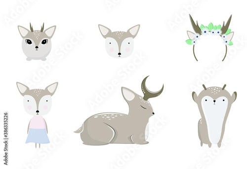 Set with cute fawns on a white background. Vector illustration