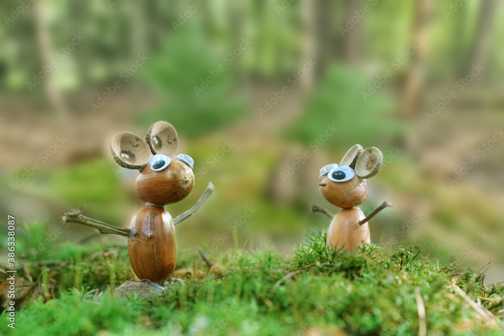 Obraz premium in der Natur im Herbst