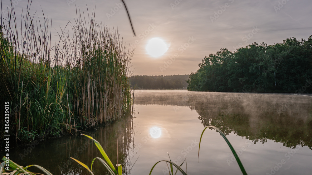 Fototapeta premium Cold morning at Olessky rybnik
