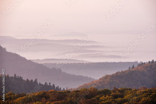 landscape with fog © Dirk