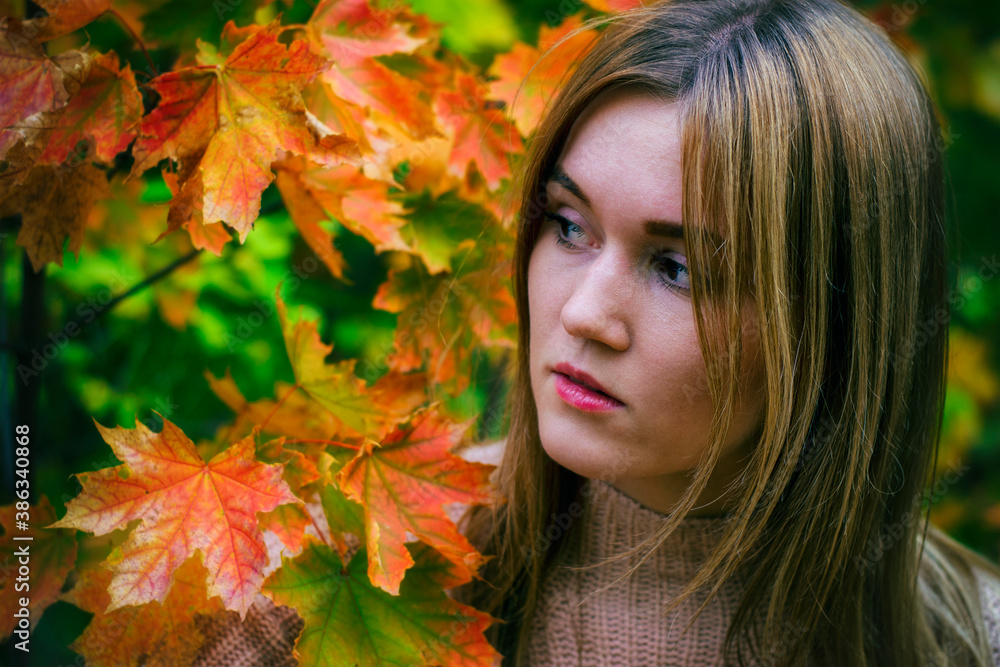 Beautiful girl in a knitted sweater in the autumn Park.Portrait of a girl in autumn leaves. Beautiful girl in a knitted sweater in the autumn Park.Portrait of a girl in autumn leaves.