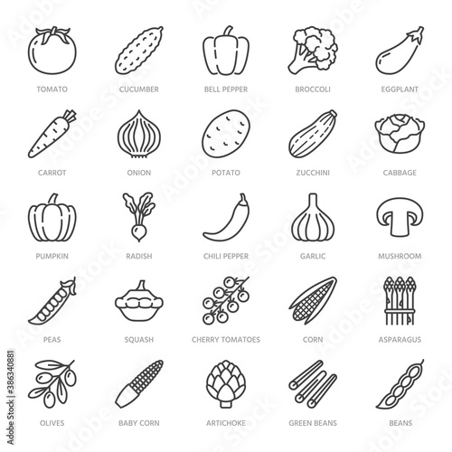 Vegetables flat line icons set. Fresh food - tomato, broccoli, corn, pepper, carrot, pumpkin vector illustrations. Outline pictogram for vegetarian grocery store. Pixel perfect 64x64. Editable Stroke