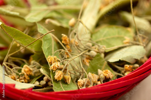 Obraz na plátně fresh linden leaves in the basket