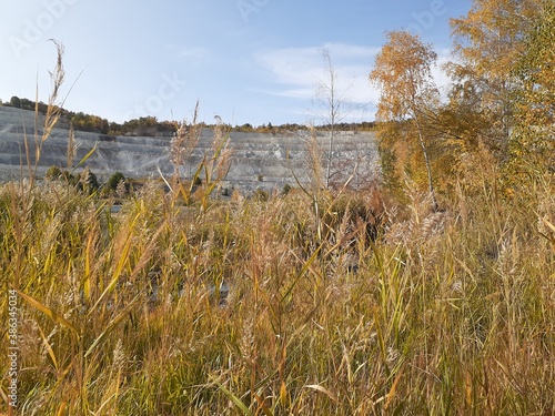 a glade in the forest in the Volskoye Cretaceous quarry, Saratov region, Russia