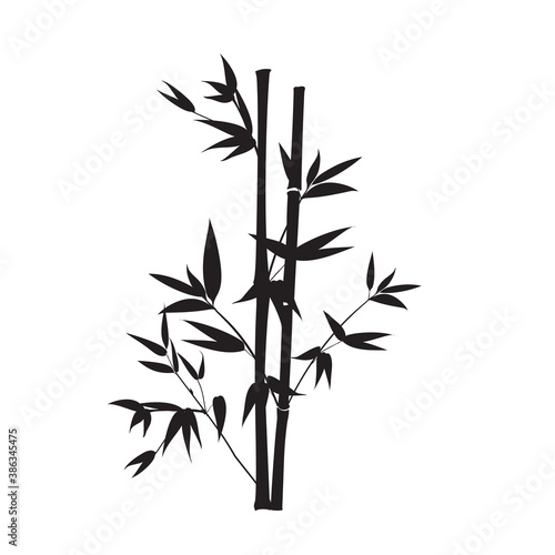 Silhouette bamboo leaves on white background.
