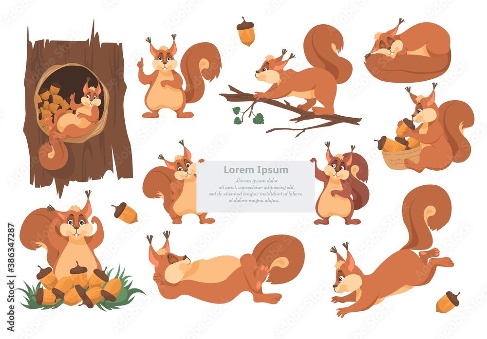 Cute squirrel cartoon character set, flat vector isolated illustration. Funny animals sleeping, eating acorns, running, playing. Forest wild animals different activities. Emoji, logo, sticker.