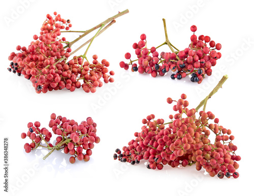 Fresh Sichuan pepper isolated on a white background photo