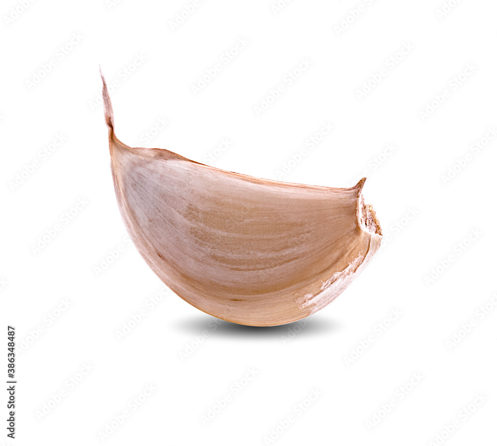 Isolated garlic. Raw garlic segment isolated on white background, with clipping path