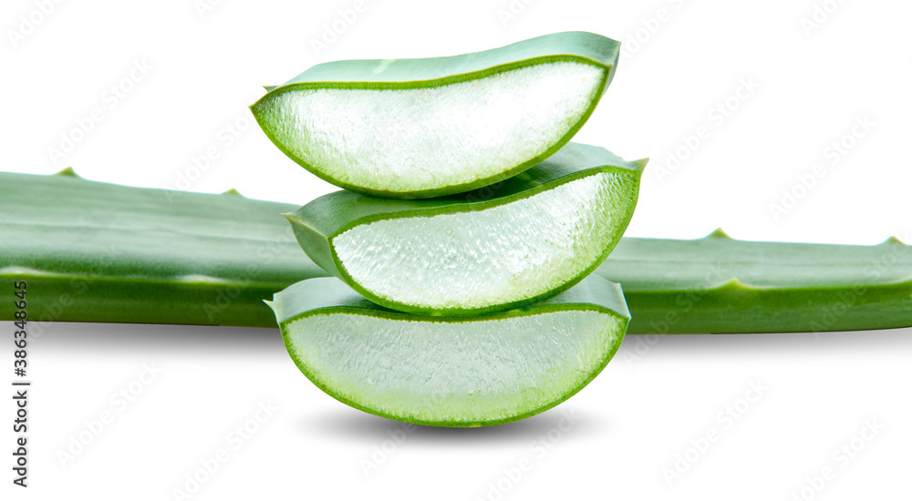 aloe vera fresh leaf isolated on white background