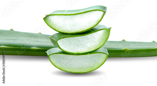 Obraz na płótnie aloe vera fresh leaf isolated on white background w salonie