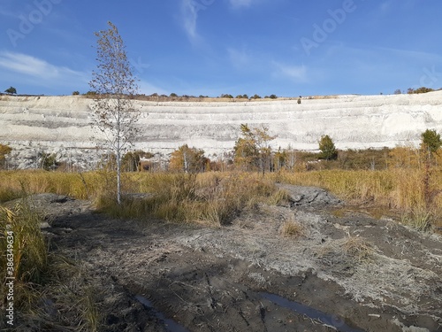 
forest in Volskiy Cretaceous quarry, Saratov region, Russia