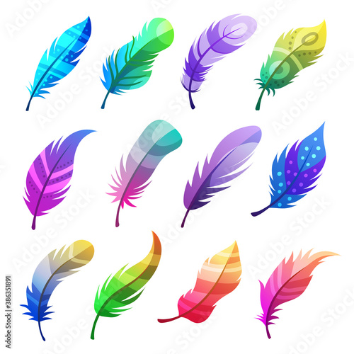 Feather colored. Stylized decorative tribal ornaments on feathers of birds vector illustrations set. Tribal feather stylized decoration, doodle wing ornamental