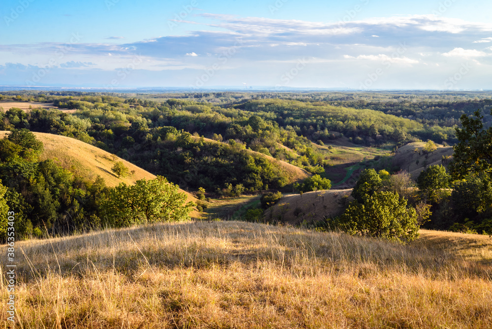 Obraz premium Green valley nature landscape.