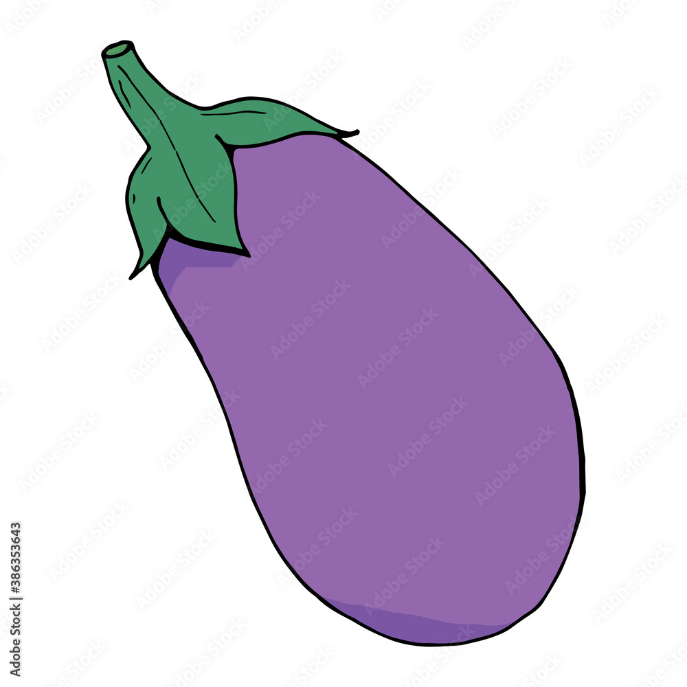 Eggplant on white background. Vector image. Eggplant on white background. Vector image.
