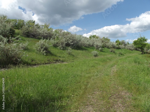 
road along fields and hills in the Saratov region, Russia