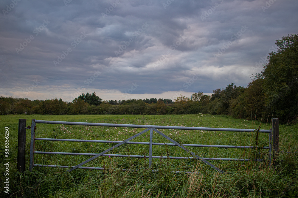 fence on a meadow fence on a meadow