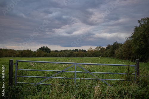 fence on a meadow