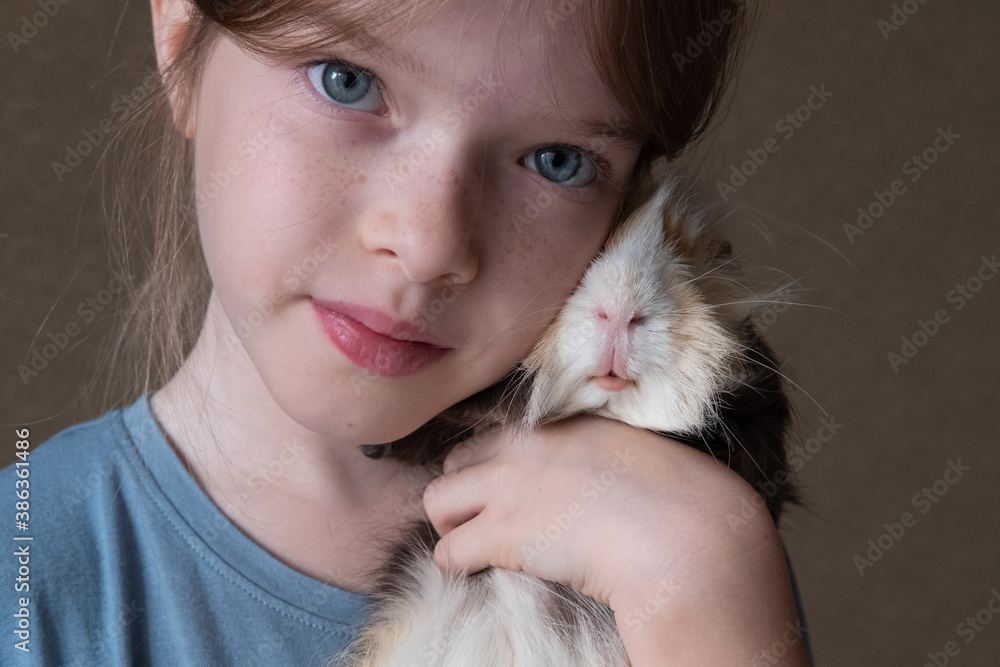 Little girl holding a guinea pig in her arms, love of children and animals, pet concept