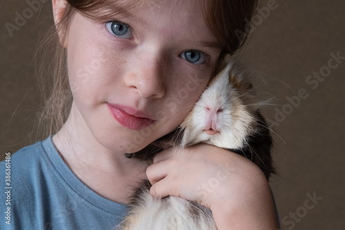 Obraz na płótnie Little girl holding a guinea pig in her arms, love of children and animals, pet concept w salonie