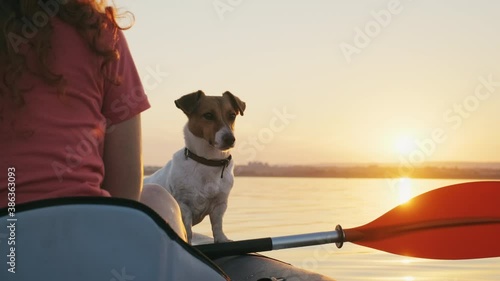 Happy young woman paddling on an inflatable kayak with her dog Jack Russell Terrier on water of sea against beautiful orange sunset slow motion. Family Sports. Summer. Travel. Tourism. Relax. Freedom