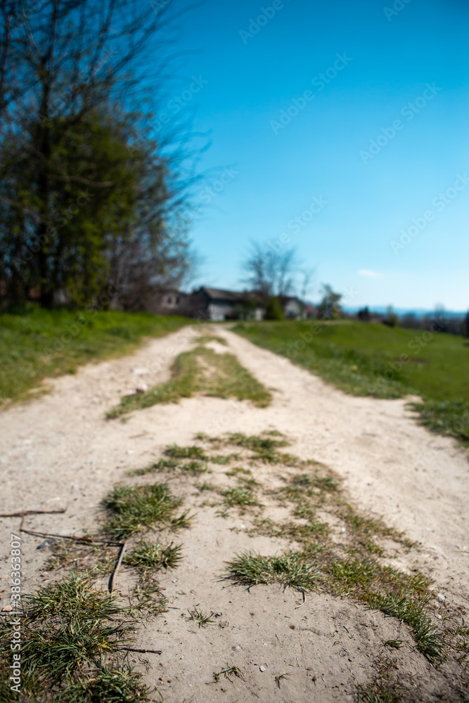 Selective focus on soil and grass located on a dirt road. The road is rural and leads to the village.
