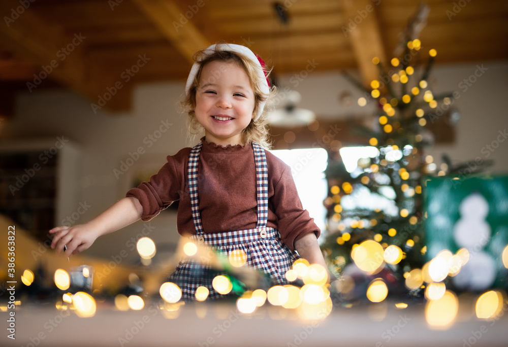 Portrait of small girl indoors at home at Christmas, laughing. Portrait of small girl indoors at home at Christmas, laughing.
