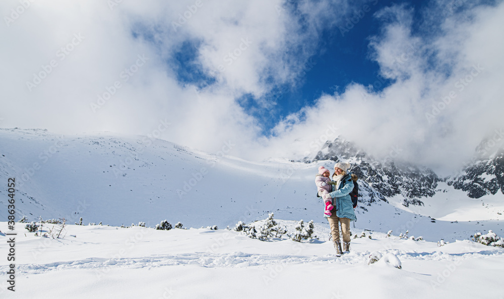 Mother with happy small daughter standing in winter nature, walking. Mother with happy small daughter standing in winter nature, walking.