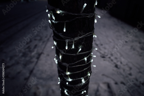 Trees and buildings are decorated with white garlands and glow at night. photo