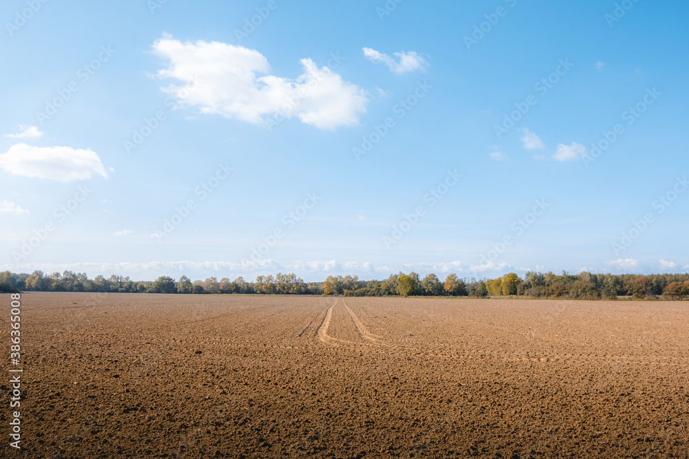 Plowed field and blue sky with clouds