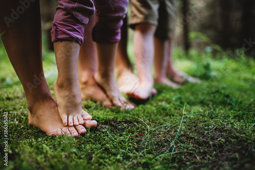 Bare feet of family with small children standing barefoot outdoors in nature, grounding concept. photo