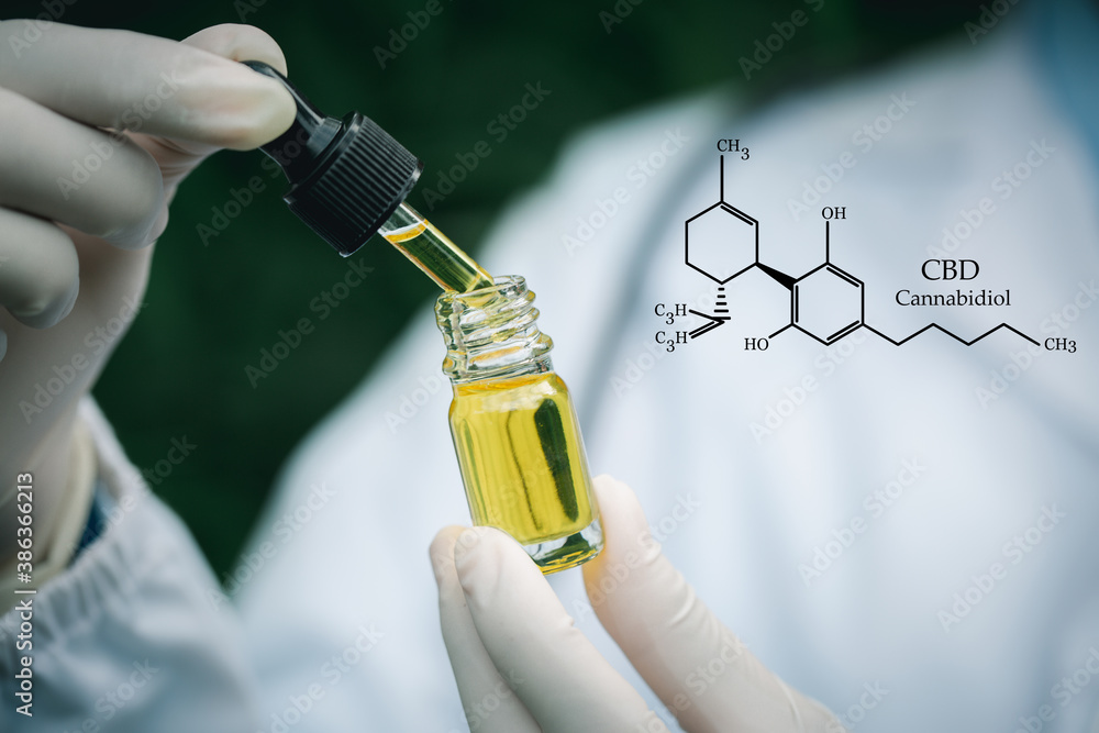 formula CBD cannabidiol, doctor hand hold and offer to patient medical marijuana and oil, cbd hemp oil, alternative remedy or medication. formula CBD cannabidiol, doctor hand hold and offer to patient medical marijuana and oil, cbd hemp oil, alternative remedy or medication.